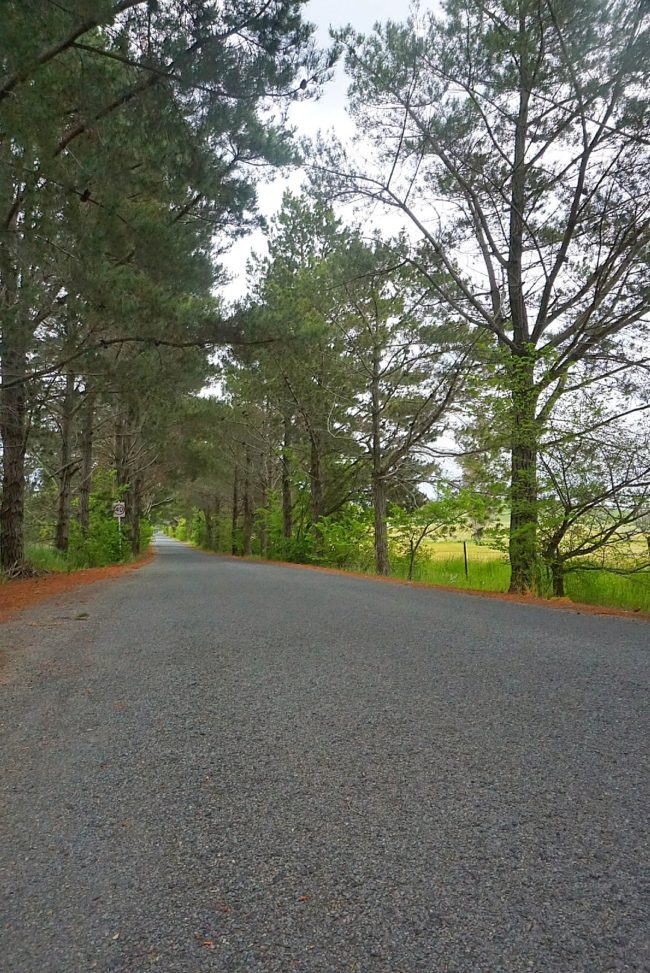 New Poachers Pantry Smokehouse Restaurant Wily Trout Cellar Door