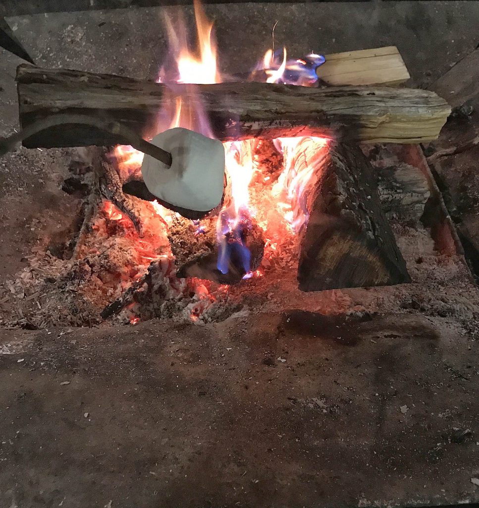 Roasting marshmallows at Corin Forest